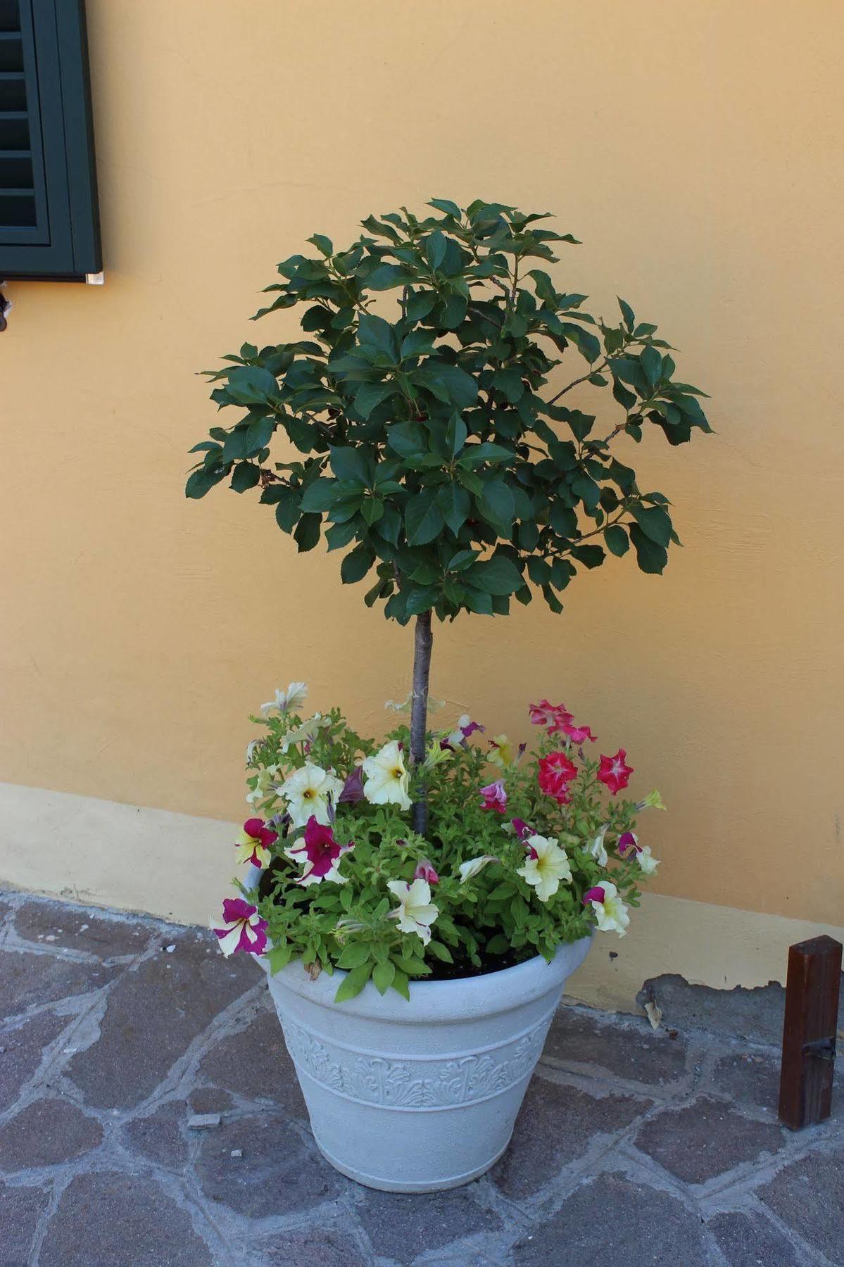 Albergo La Pieve Castelfiorentino Exterior foto